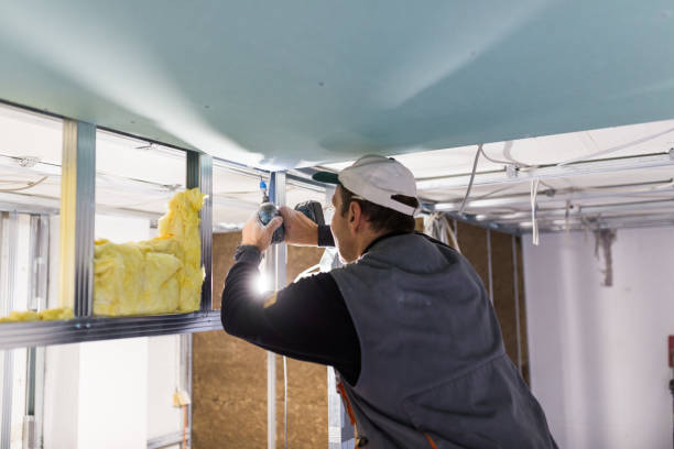 Professional Insulation Installation & Removal in Copper Canyon, TX